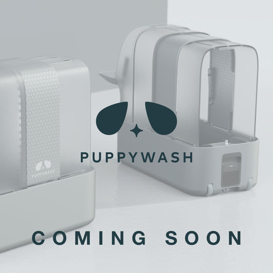 PuppyWash: Small Dogs (Coming Soon) (Not Available)